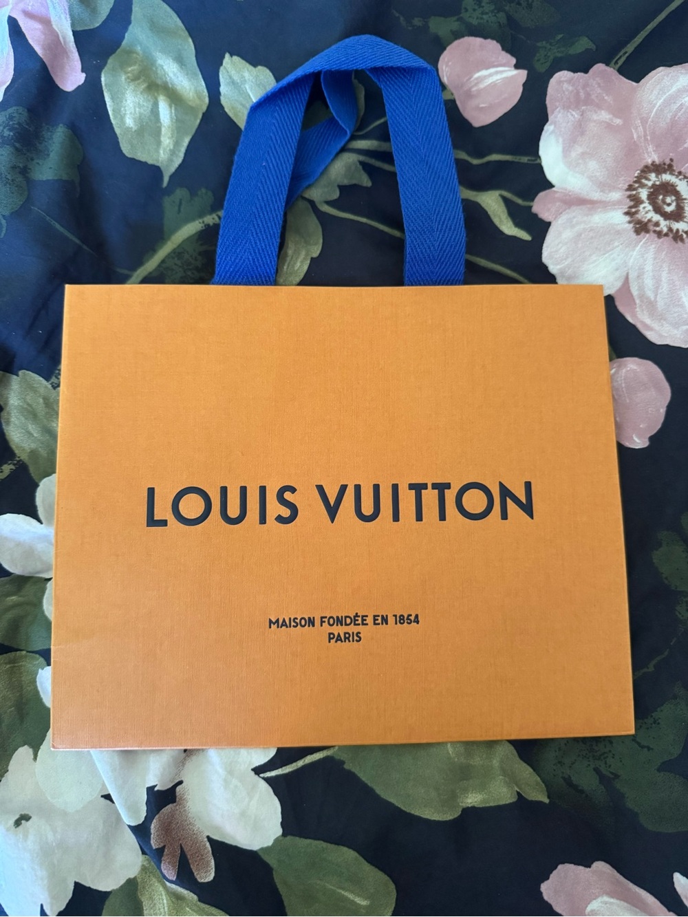 Louis Vuitton Shopping Bag